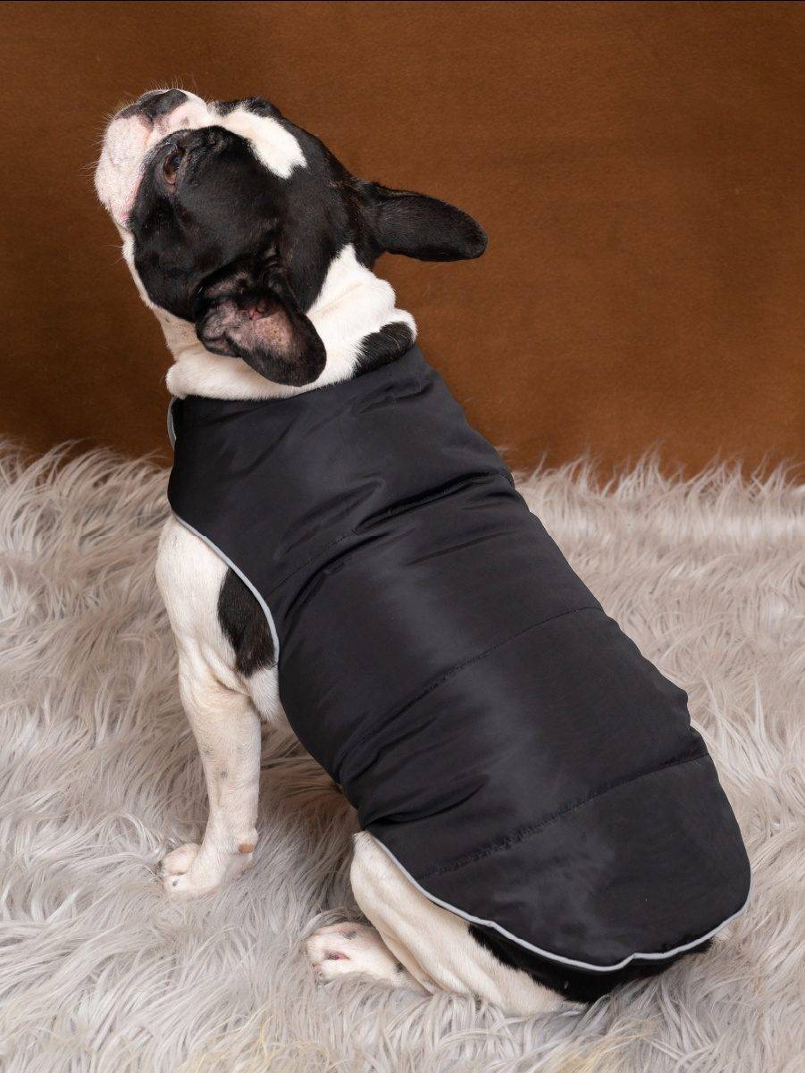 Hank-Winter-Flex-jackets