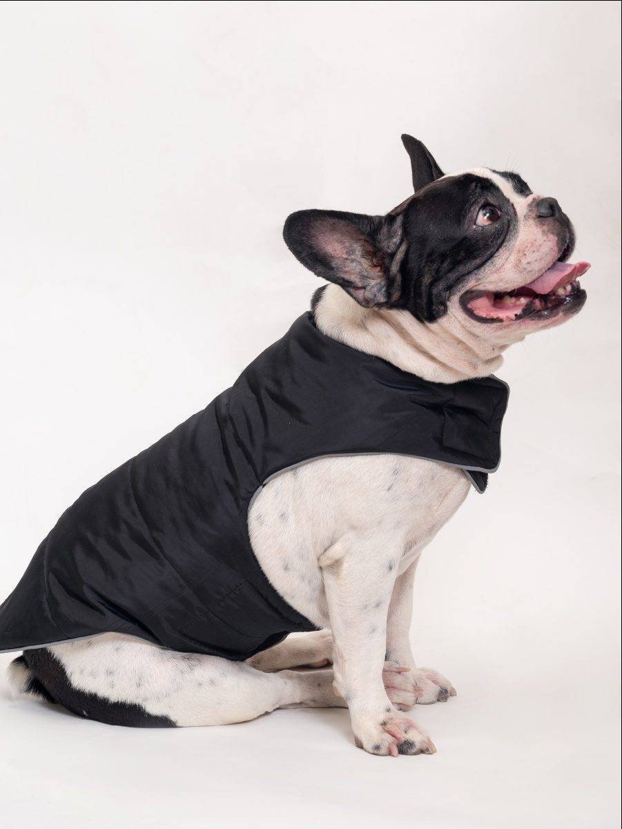 Hank-Winter-Flex-jacket