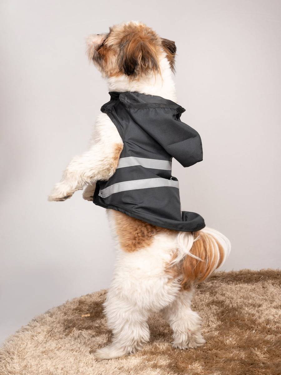 Black Raincoat For Dogs & Cats