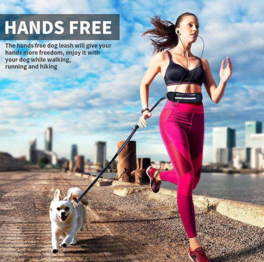 Dog Leash With Pocket - HANK