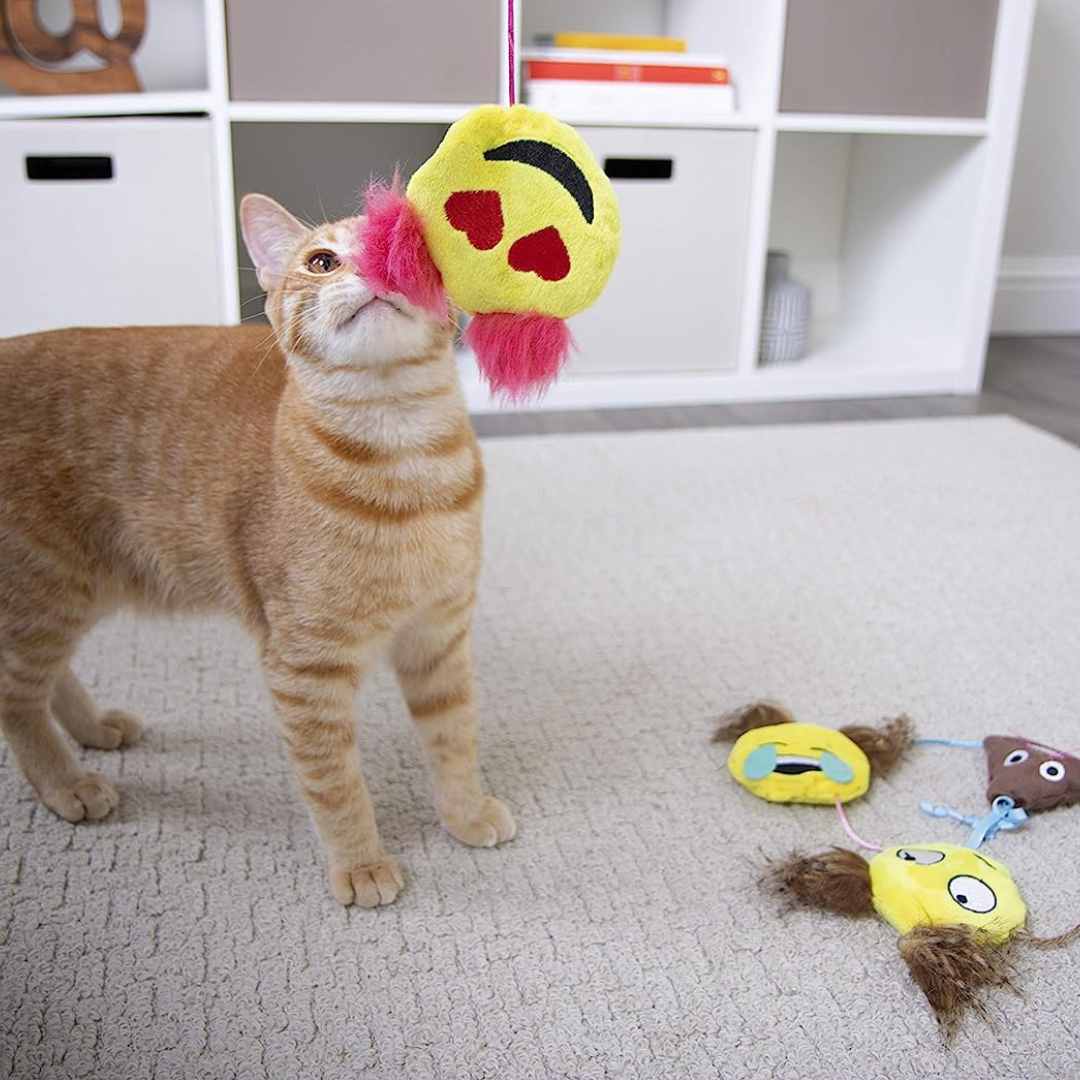 Catnip Toys