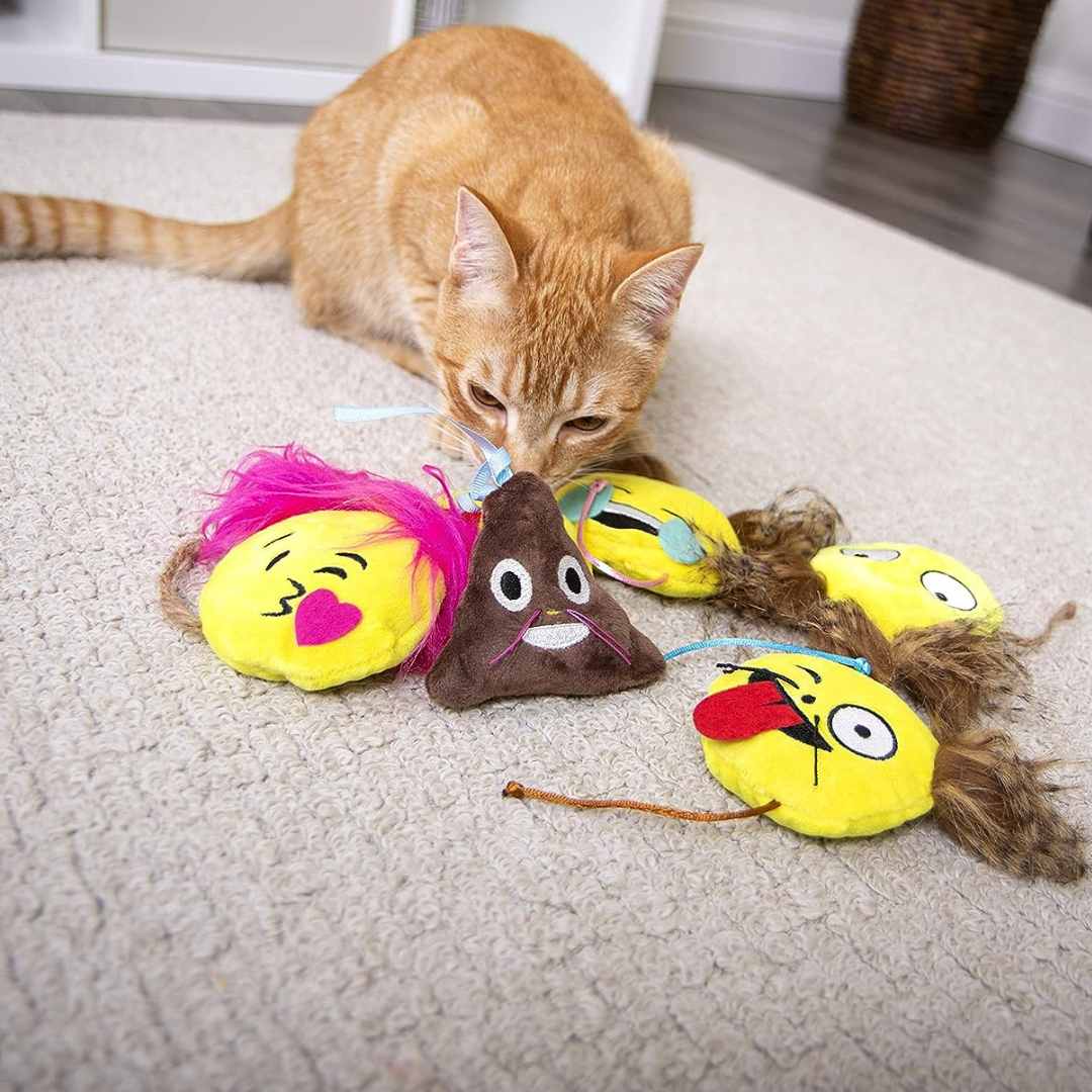 Catnip Toys