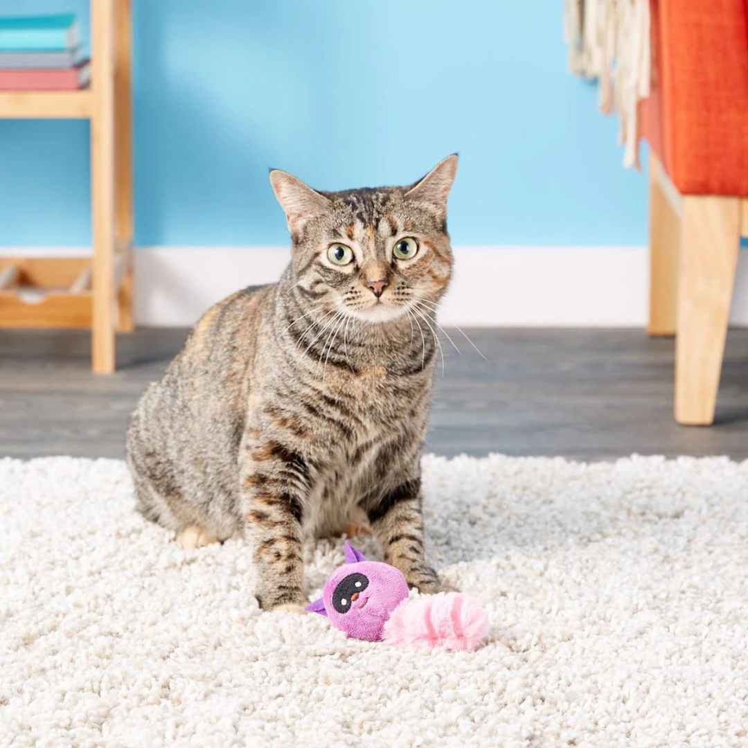 Plush Raccoon with Catnip Cat Toy