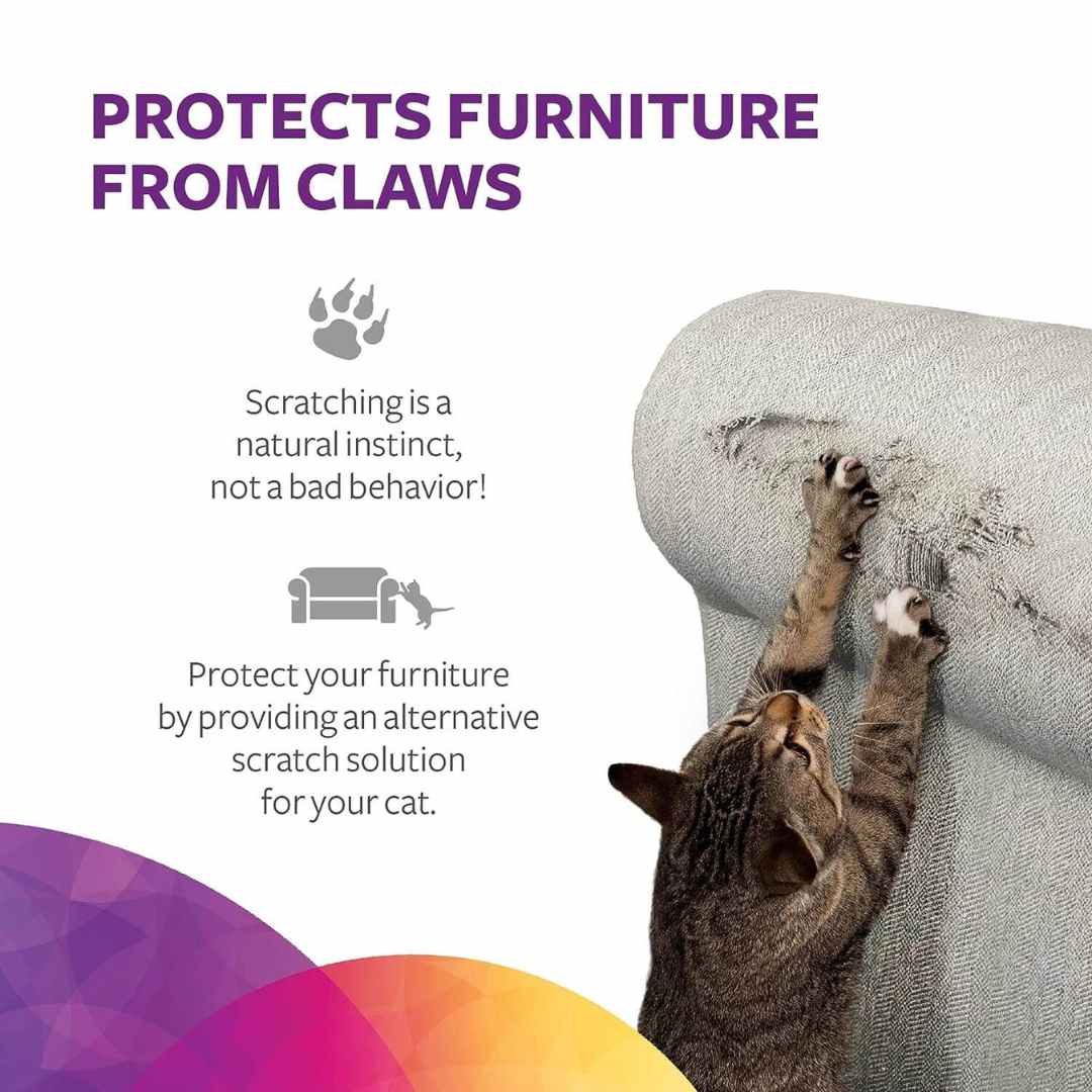 Cat Scratcher