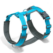 Hank Cyan Blue Grey Quick-Fit Dog Harness.