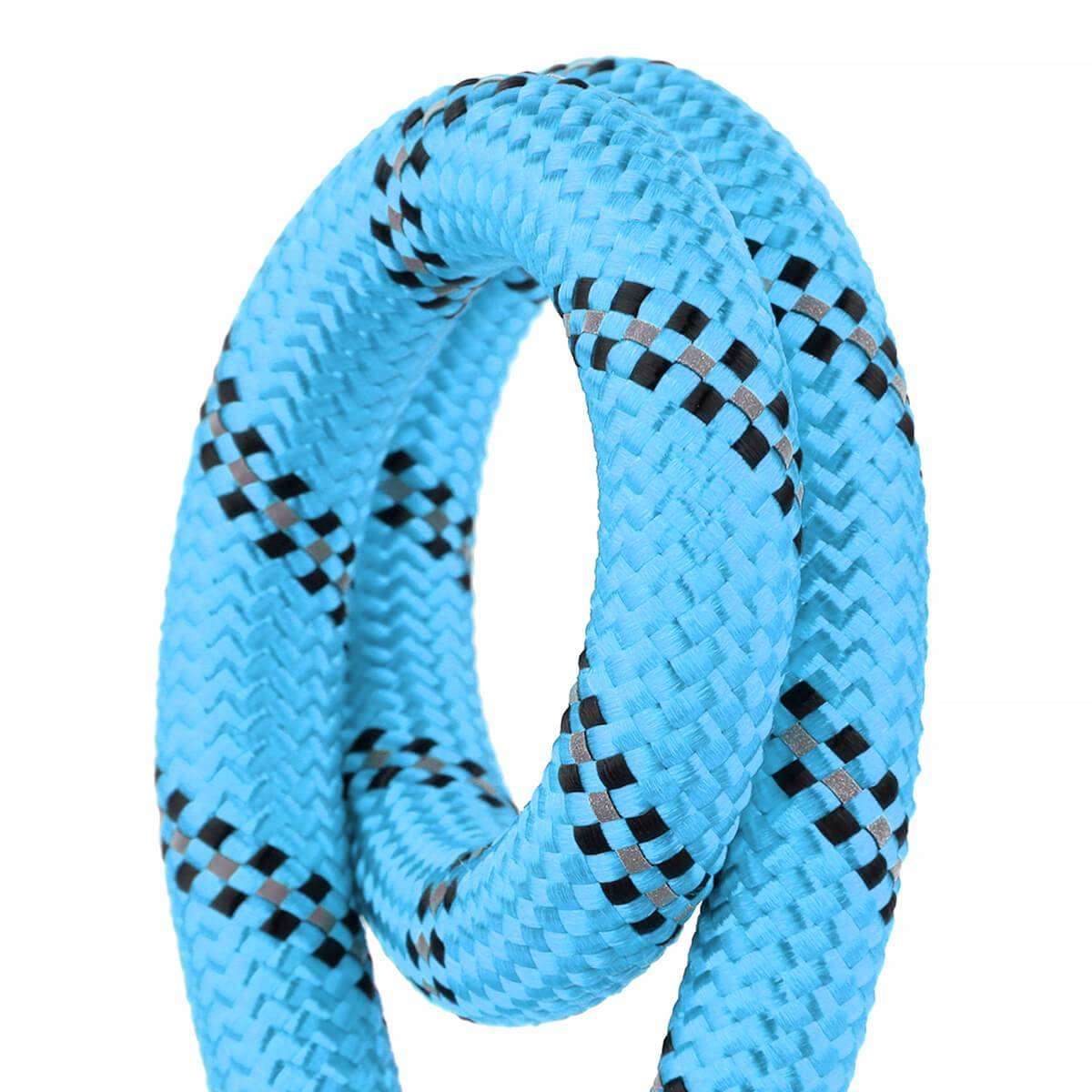 Dog Leash