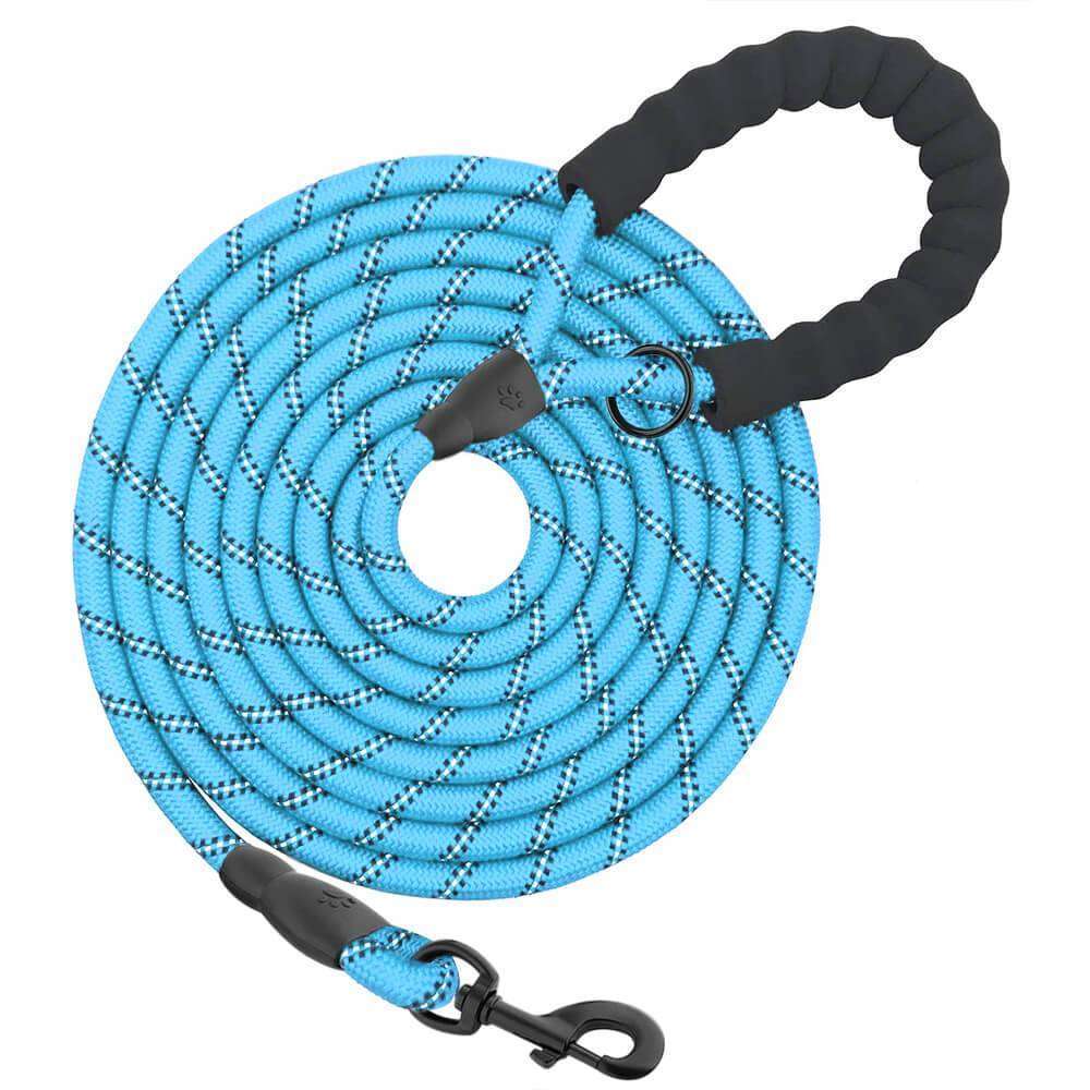 Dog Leash