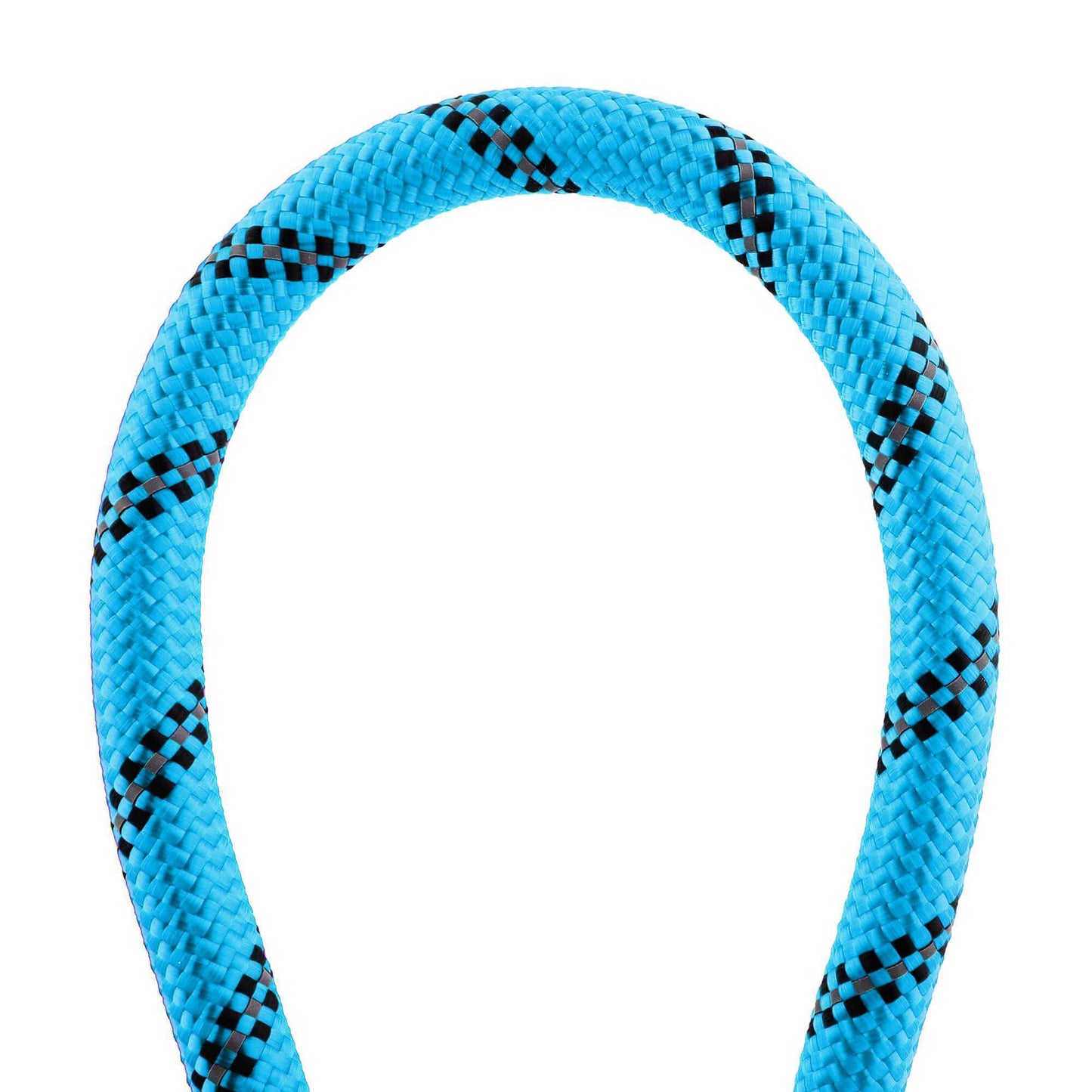 Leash For Dog