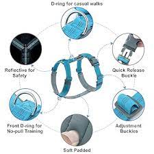 Hank Cyan Blue Grey Quick-Fit Dog Harness.