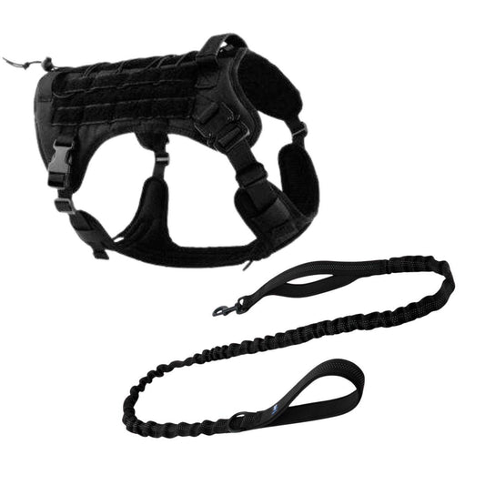 leash and harness combo black