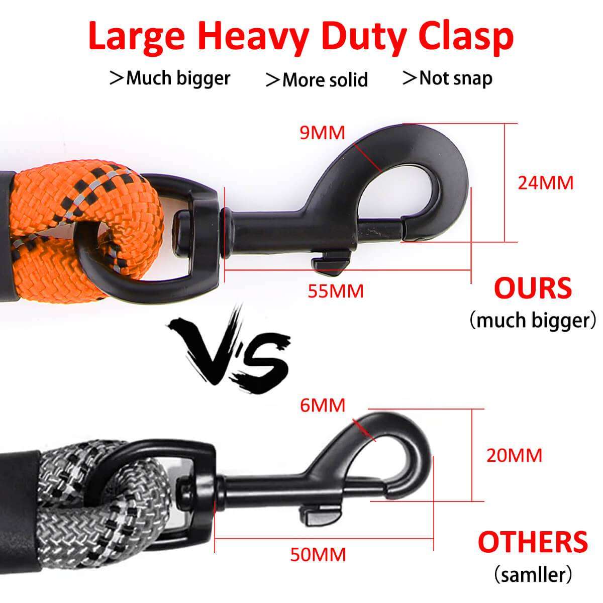 Dog Leash