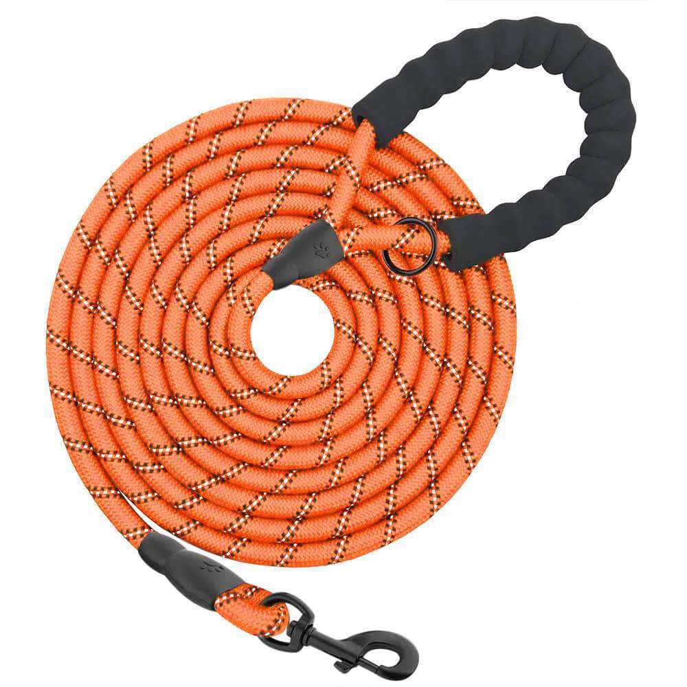 Dog Leash
