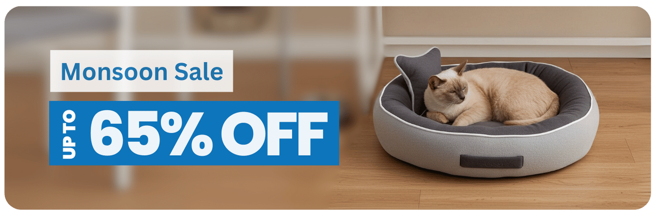 Cat Bed