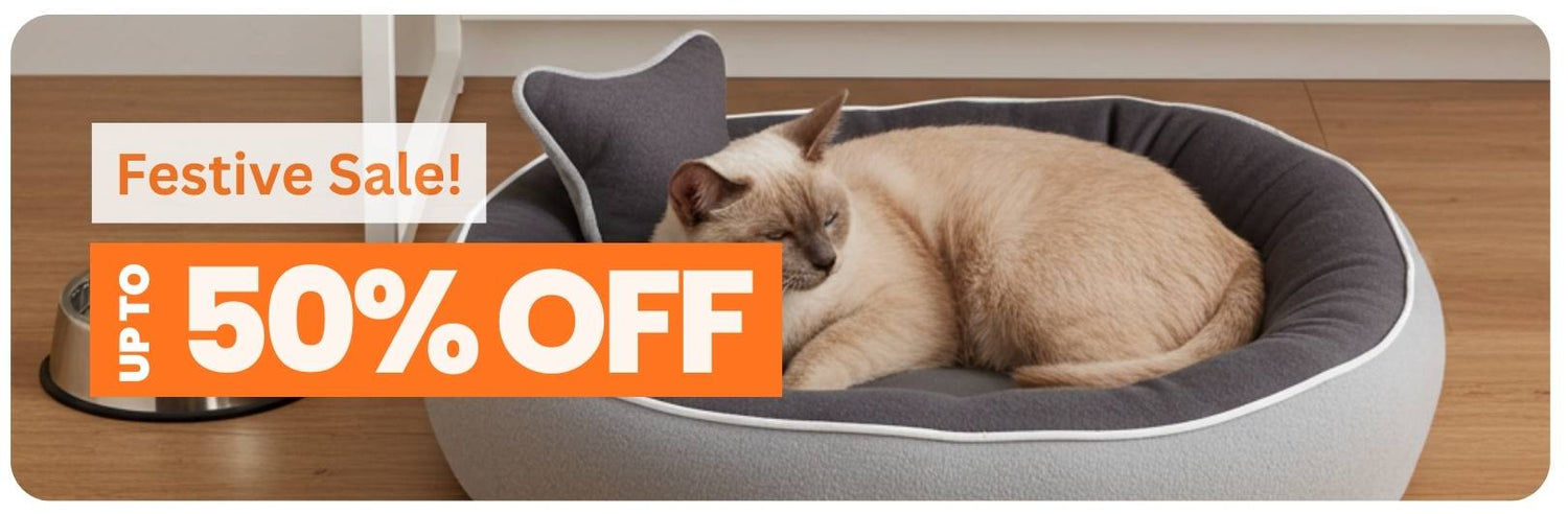 Cat Bed