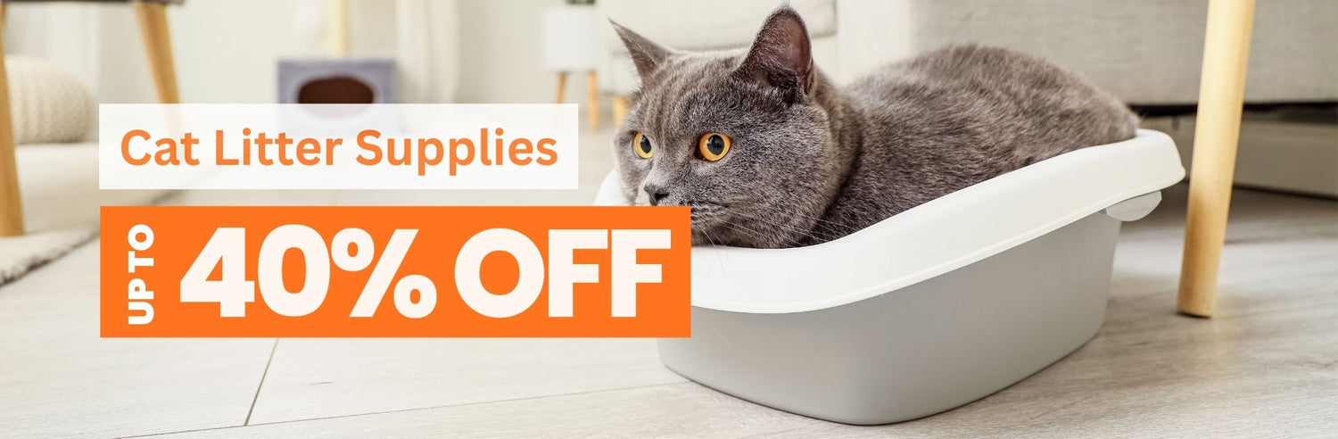 Cat Litter
