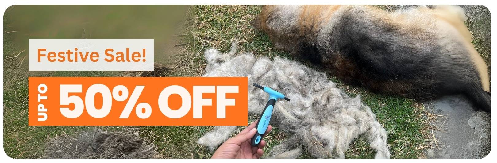 Dog Grooming