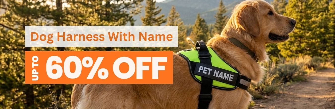 Dog Harness With Name