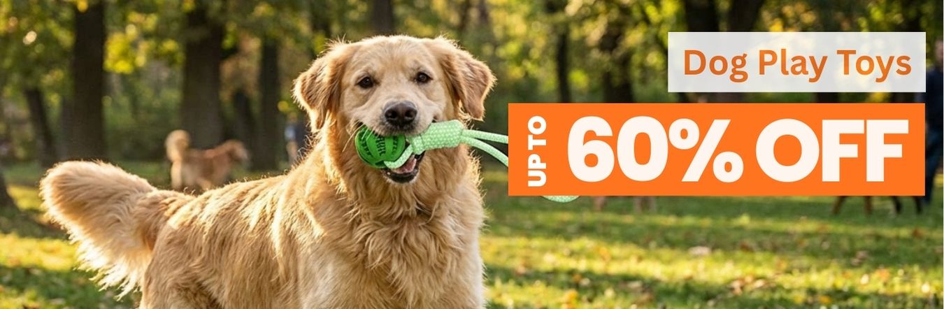 Dog Toys