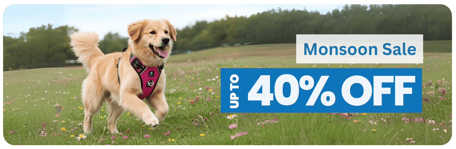 Dog Harness