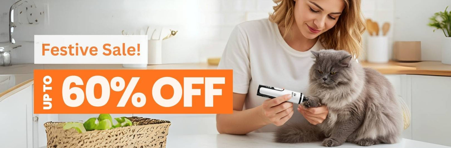 Cat Grooming