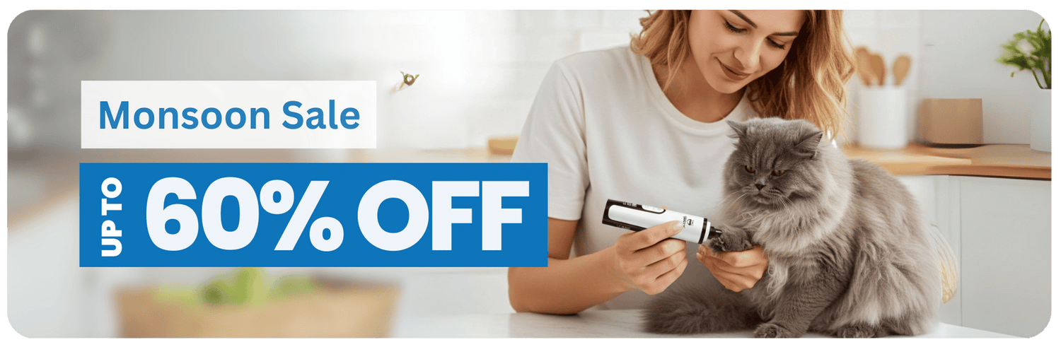 Cat Grooming