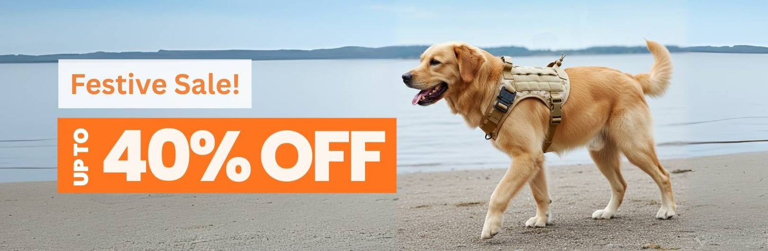 Military Harness & Leashes