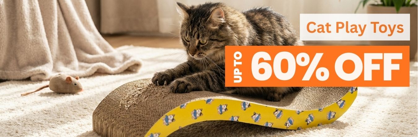Cat Toys