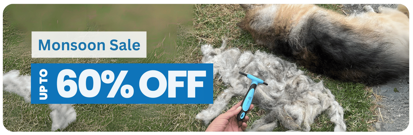 Dog Grooming