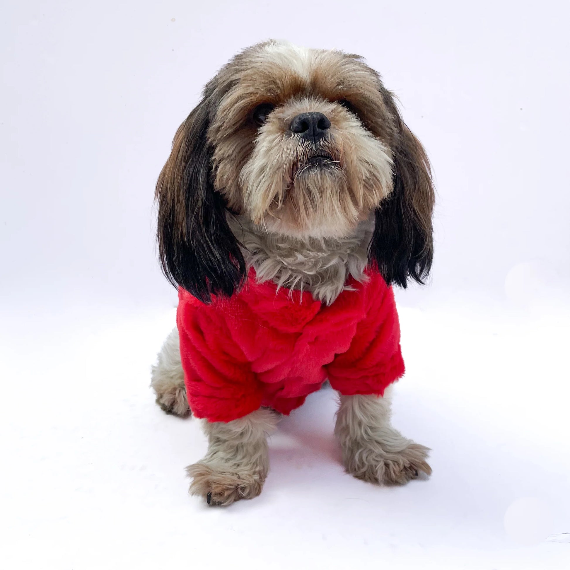 Puffer Jacket Red for Dogs & Cats