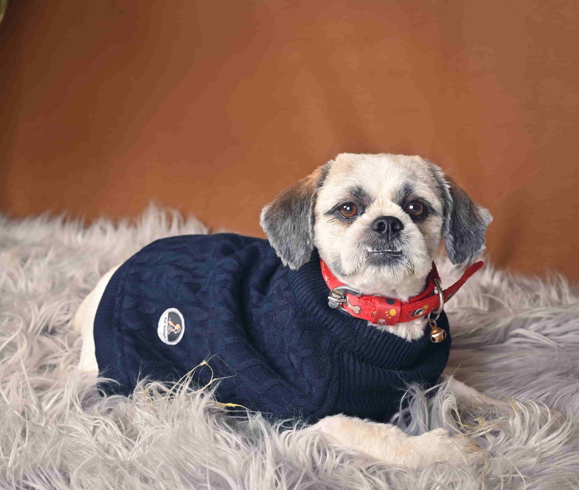 Blue Dog Sweater HANK