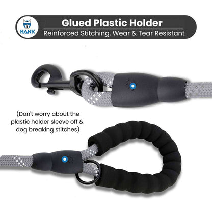 Dog Grey Leash