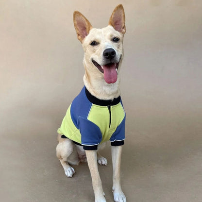 Dog Winter Sweatshirt | Dog Winter Jacket Combo for Cold Weather