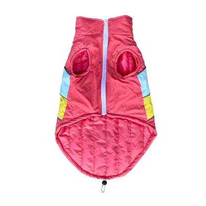 Dog Winter Sweatshirt | Dog Winter Jacket Combo for Cold Weather