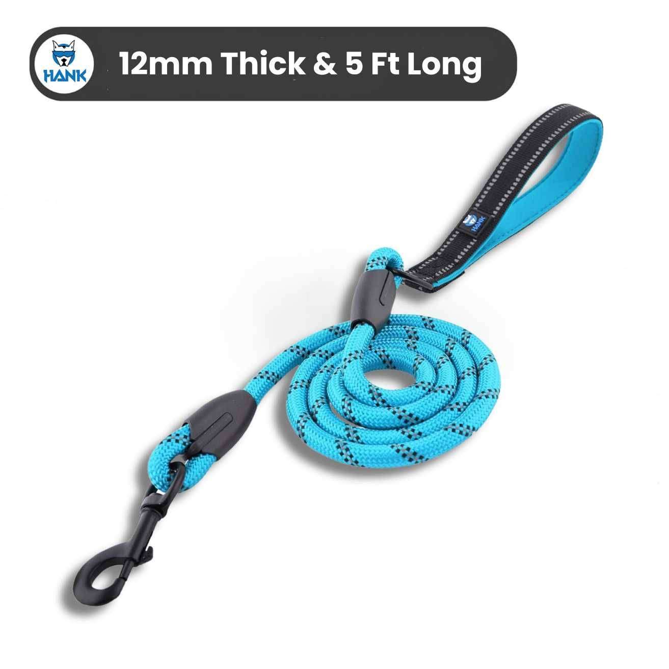 Dog Leash Blue