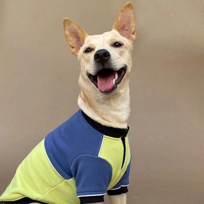 Dog Winter Sweatshirt | Dog Winter Jacket Combo for Cold Weather