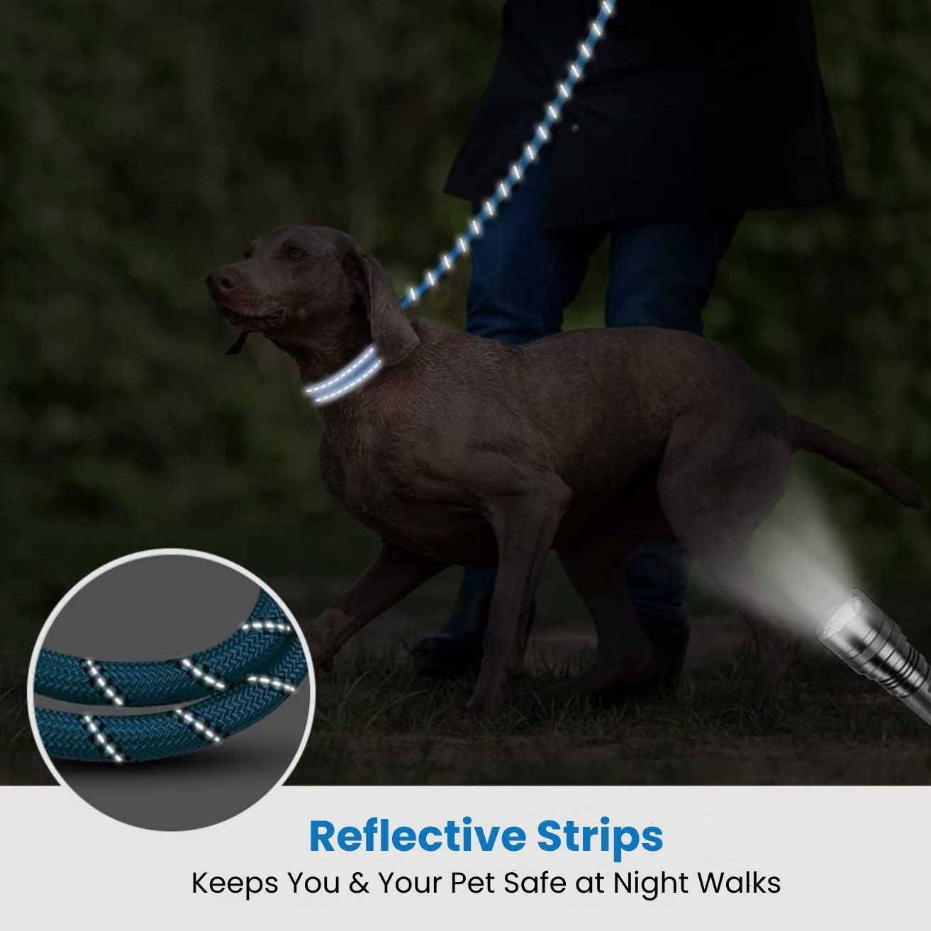 Dog Leash Blue