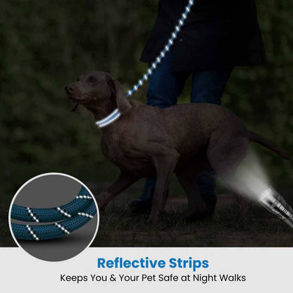 Dog Leash Blue