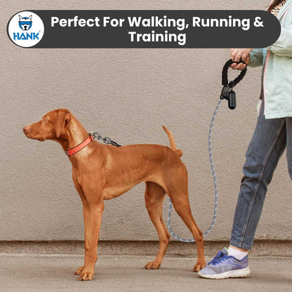 Dog Grey Leash