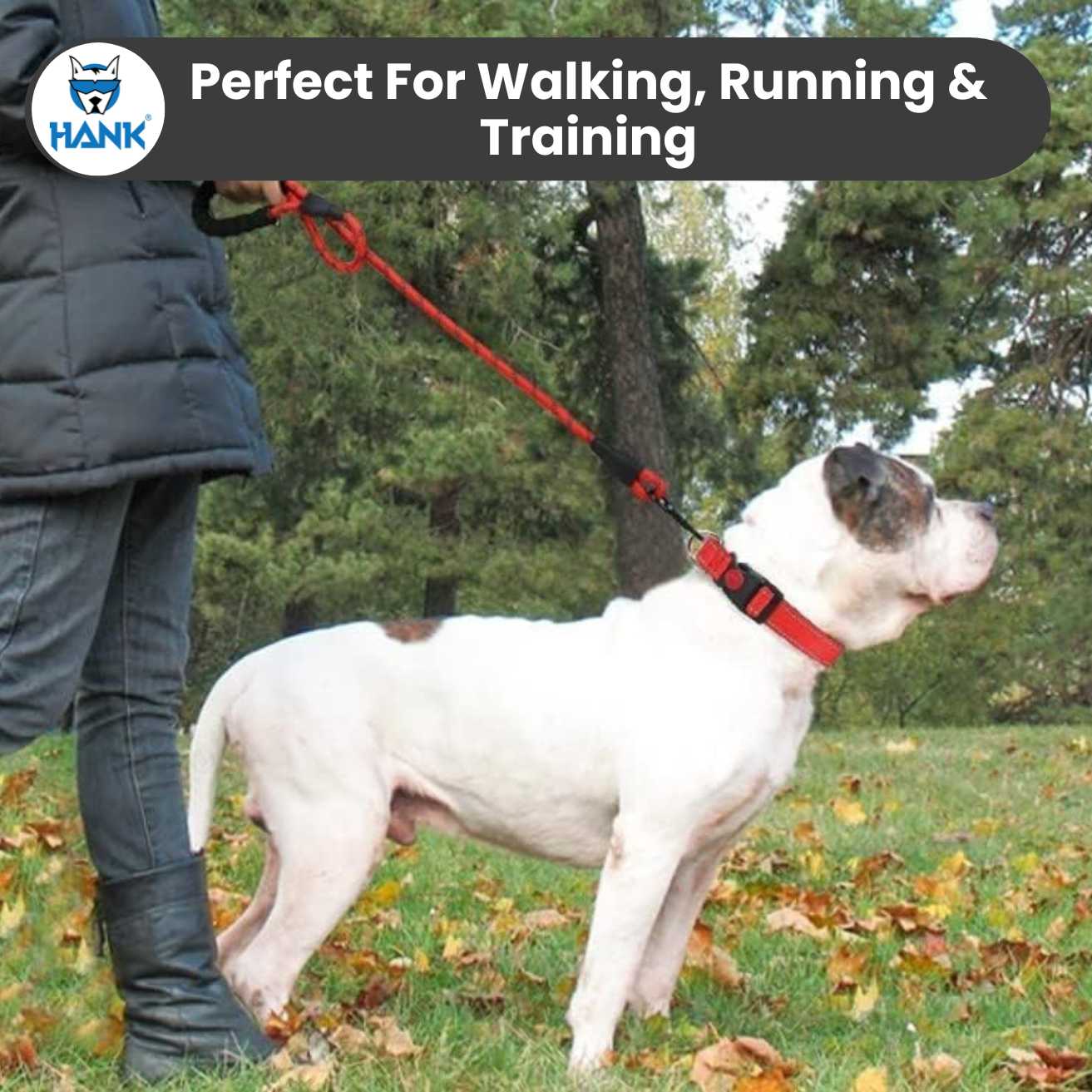Hank Dog Leash Red