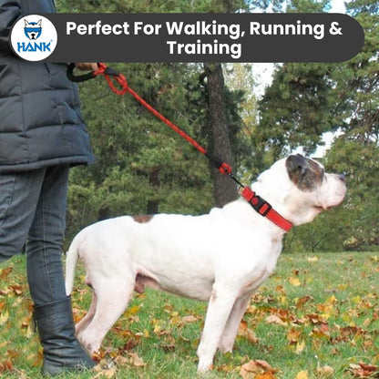 Hank Dog Leash Red