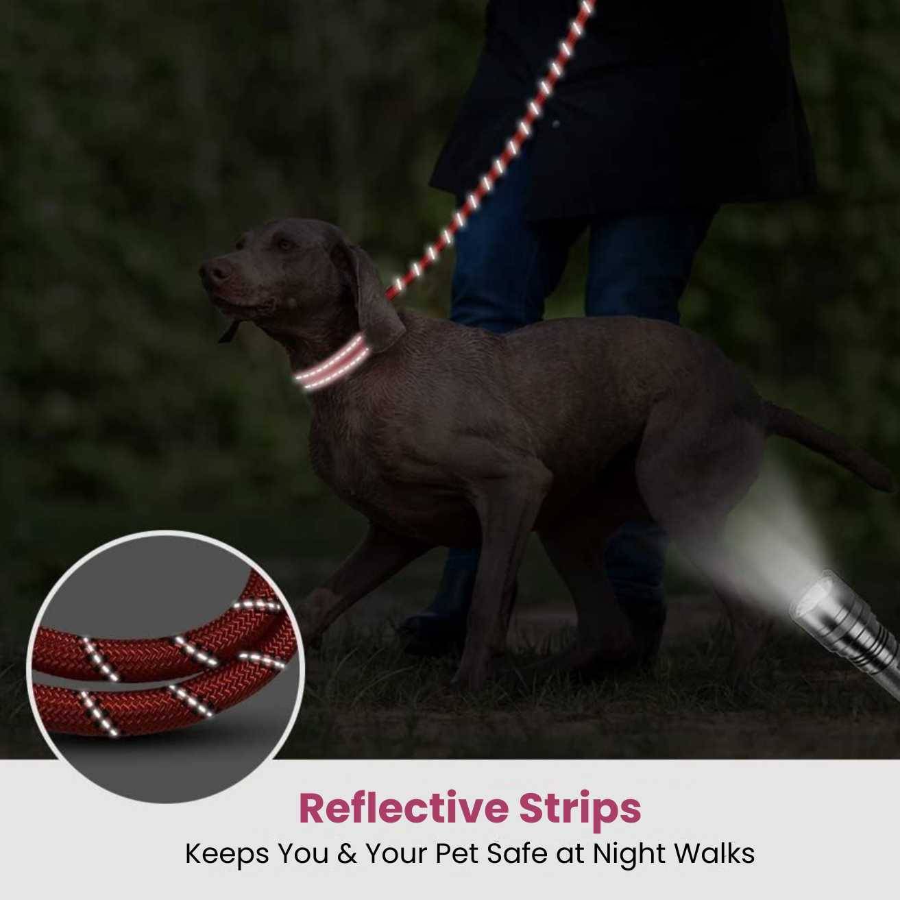Hank Dog Leash Red
