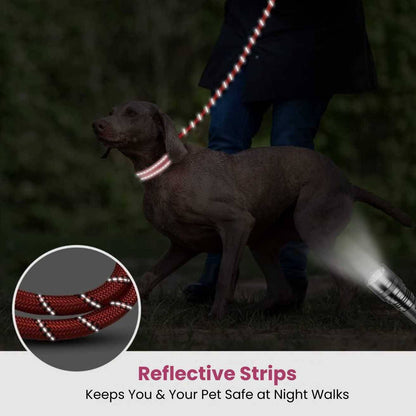 Hank Dog Leash Red