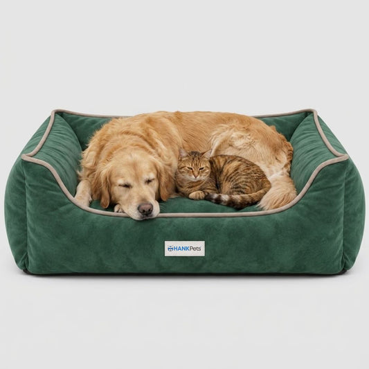 HANK SoftNest Premium Dog Bed Anti Skid & Machine Washable(Green)