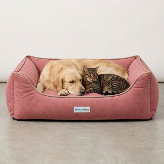 HANK SoftNest Premium Dog Bed Anti Skid & Machine Washable (Pink)