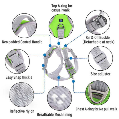 Dog Harness