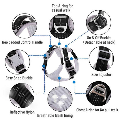 Harness for puppy