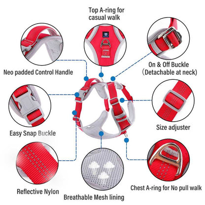 Harness for dog