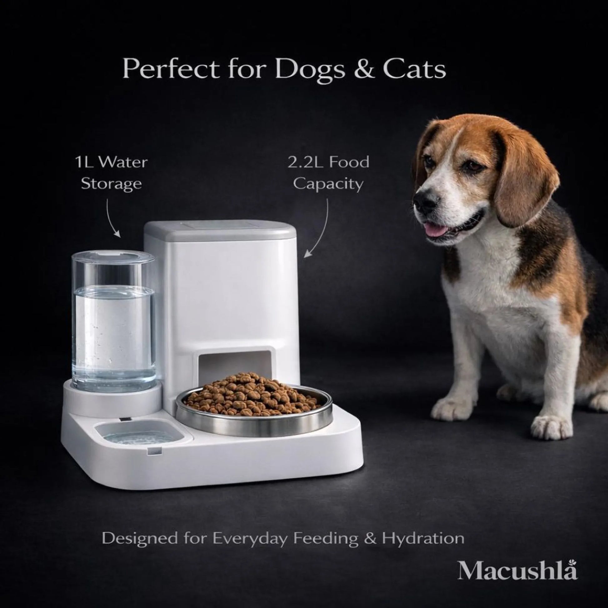 2.2L Pet Feeder with 1L Water Dispenser