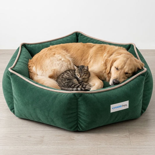HANK HugFit Premium Dog Bed | Anti Skid & Machine Washable(Green)