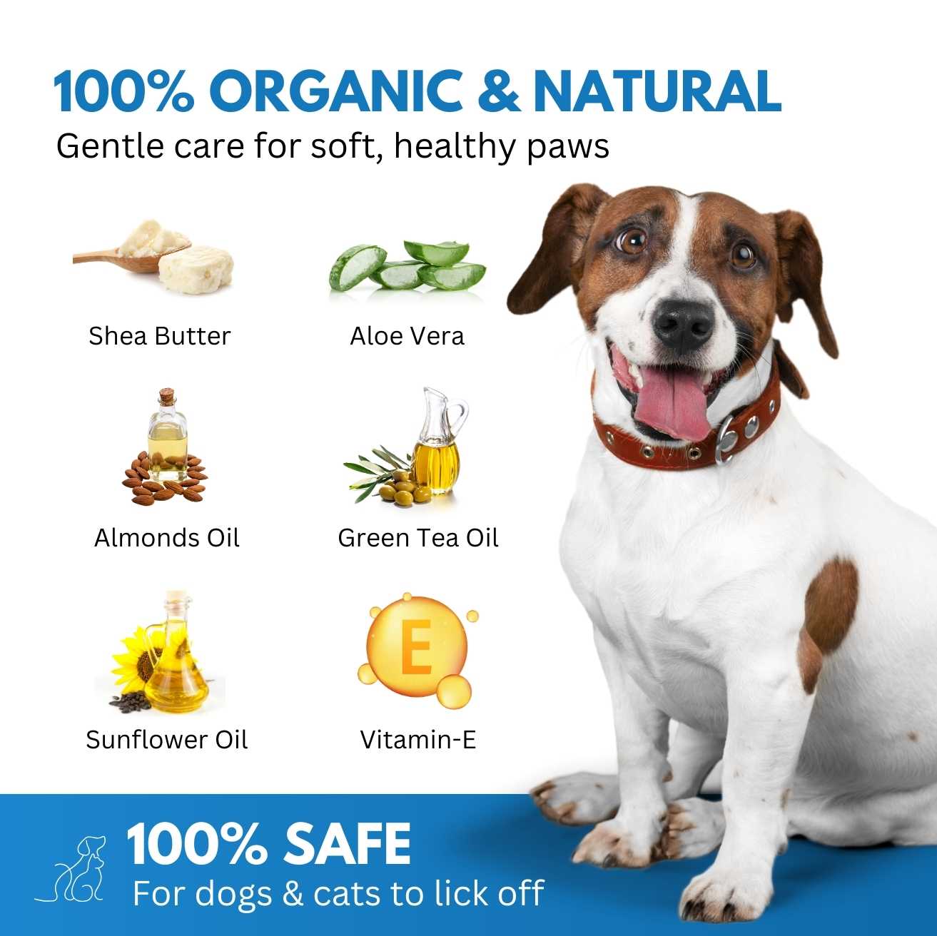Lick-Safe Paw Cream for Dogs